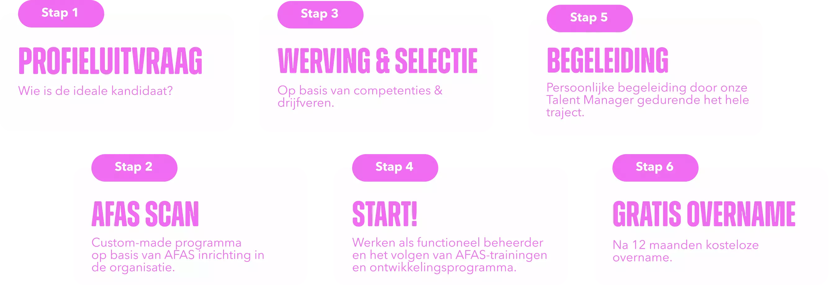 The New Crew generatie z Werving en selectie, ontwikkeling en begeleiding bij AFAS Traineeship